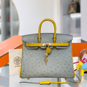 Hermes Birkin Ostrich Leather Handbags Lock Pattern 25cm